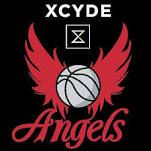 Logo BG Donau-Ries | Eigner Angels Basketball